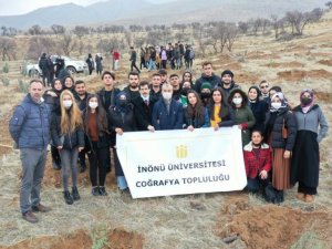 Üniversite öğrencileri fidan dikti