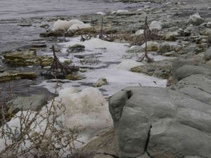 Burdur Gölü köpüklendi, uzmanlar ’doğal süreç’ dedi