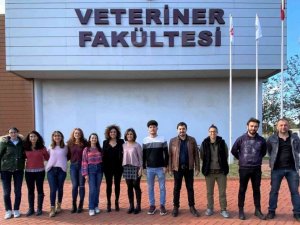 ADÜ Veteriner Fakültesi öğrencilerine TÜBİTAK’tan destek