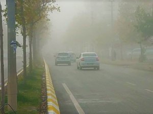 Şanlıurfa’da yoğun sis