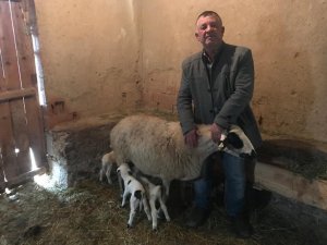 Beşiz kuzular neşe ve umut kaynağı oldu