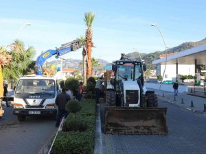 Marmaris’te palmiyeler Ulusal Egemenlik Caddesi’ni süsleyecek