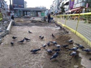 Subaşı’nın güvercinleri Hamidiye Çeşmesi’ni güzelleştirecek