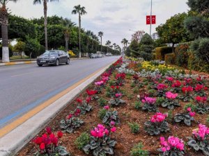 Mersin’in 4 bini yanı çiçeklerle renkleniyor