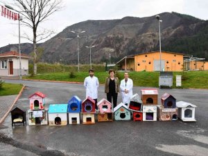 Minik eller sayesinde patili dostlar sıcak yuvalara kavuşacak