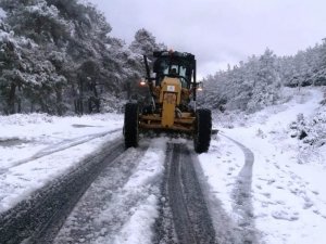 Aydın’da kar yağışı etkili oldu