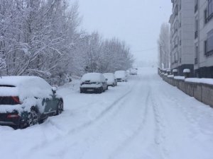 Bingöl’de 130 köy yolu ulaşıma kapandı