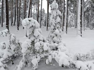 Türkmen Dağı beyaza büründü