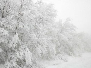 Kar yağışı çocukları mutlu etti