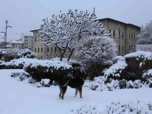 Sivas’ta 234 köy yolu araç ulaşımına kapandı