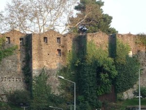 Dedelerinden kalan kalenin kendilerine devrini isteyecekler