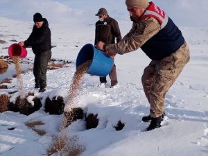 Yaban hayvanları için doğaya yem bırakıldı