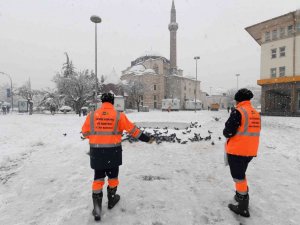 Konya Büyükşehir doğadaki sahipsiz hayvanlara yem bırakıyor