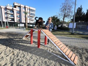 Gaziemir’de köpeklere özel park açıldı