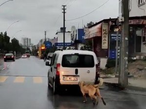 Mersin’de tepki çeken görüntü