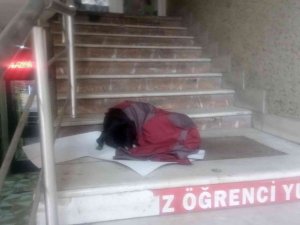 Afyonkarahisar’da görenlerin için ısıtan görüntü