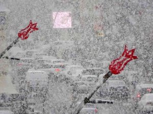 Muş’ta lapa lapa kar yağışı renkli görüntüler oluşturdu