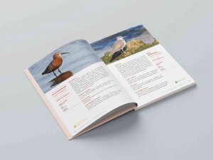 Aliağa Kuş Cenneti ve Güzelhisar Deltası kitaplaştı