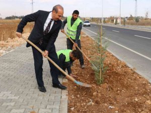 Akçakale’de yeşil atağı sürüyor