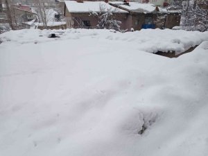 Hakkari’de 159 yerleşim yerinin yolu ulaşıma kapandı