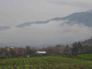 Yağmur sonrası sis bulutları ile şelale görsel şölen sundu