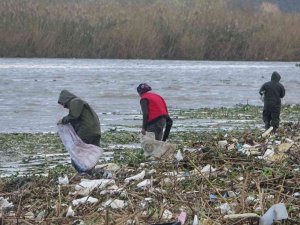 Sahile vuran odunlar kışlık yakacakları oldu