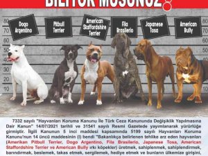 Tehlike arz eden köpek ırklarında kayıtlar için son tarih 14 Ocak