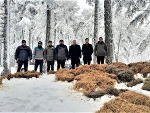 Yaban hayvanları için doğaya yem bırakıldı