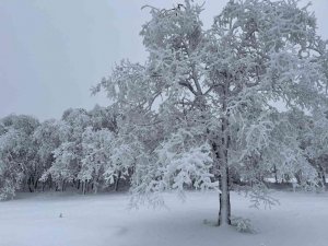 Eskişehir’den kartpostallık kış fotoğrafları