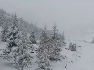 Beyaz gelinlikli orman drone ile görüntülendi