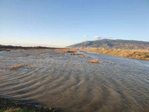 Milleyha Kuş Cenneti yağış sonrası göletler ile doldu