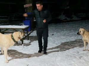 AK Gönüller sokak hayvanlarını unutmuyor