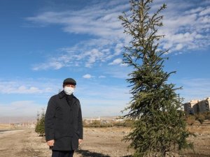 Başkan Çolakbayrakdar: “Bu yıl 100 binden fazla ağacı toprakla buluşturduk”