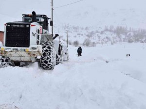 Hakkari İl Özel İdaresi; karla mücadele çalışması başlattı