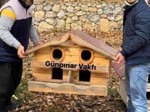 Kış öncesi sokak kedilerine şefkat eli