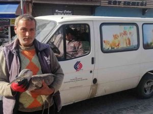 Yaralı kuşa belediye ekipleri sahip çıktı