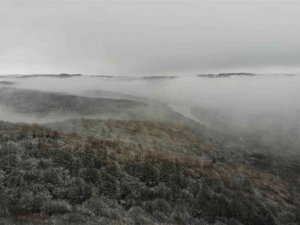 Şile ormanları kara ve sise büründü