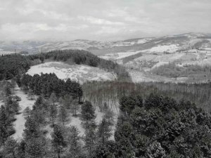 Düzce’nin kar manzarası mest etti