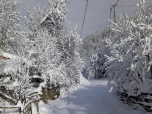 Bartın’da kapalı köy yolu sayısı 113’e çıktı