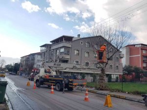 Körfez’de ağaçlara kış bakımı yapılıyor