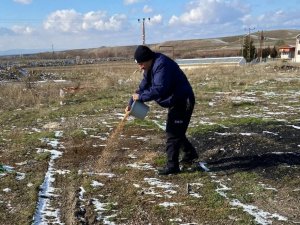 Sungurlu’da sokak hayvanları unutulmadı