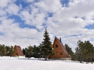 Yalnız Ardıç Mesire Alanında kartpostallık görüntüler oluştu