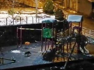 Yaralı ve aç tilki parkta yiyecek aradı