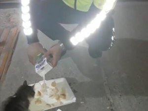 Trafik polisi sahipsiz hayvanları kendi elleriyle besliyor