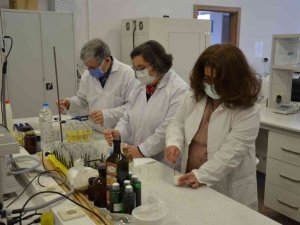 Kanamaları erken durduran formül bulundu