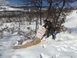 Tunceli’de yaban hayvanları için doğaya yem bırakıldı