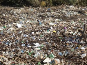 Aydın’da günlük atık miktarı 1,22 kg oldu