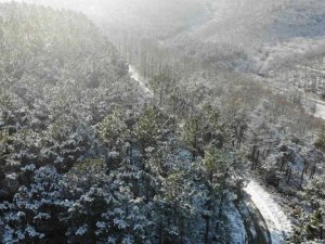Kar sonrası, Kemerburgaz Ormanları’nda masalsı görüntüler