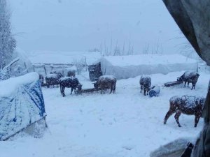 Batman’da kardan kapanan köy yollarının açılması için çalışmalar devam ediyor