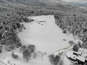 Gölcük Tabiat Parkı’ndaki göl buzla kaplandı